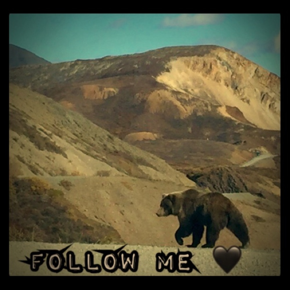 The More the Merrier!